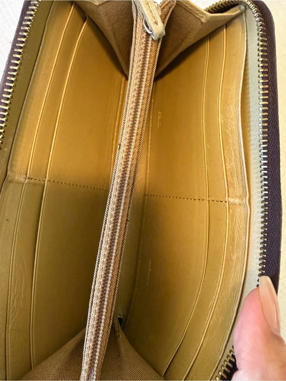 Zucca Spalmati Polka Dot Zip Around Wallet Tobacco Silver Gold